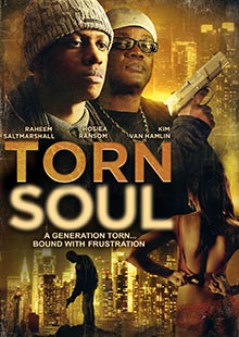 Box Art for Torn Soul