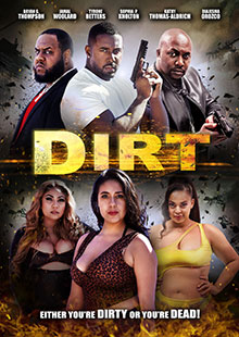 Box Art for DIRT