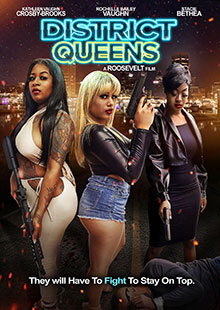 Box Art for District Queens