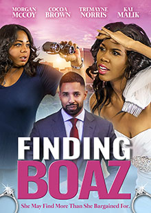 Box Art for Finding Boaz