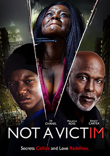 Box Art for Not a Victim