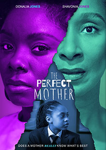 Box Art for The Perfect Mother