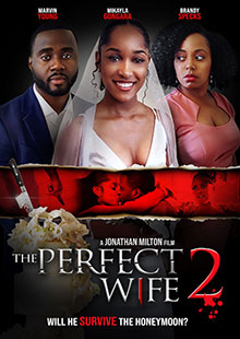Movie Poster for The Perfect Wife 2