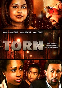 Box Art for Torn