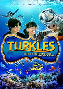 Box Art for Turkles